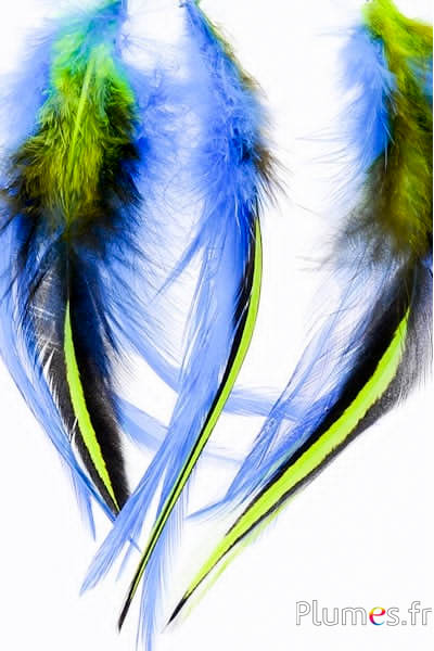 Pendentif Coq Wyandotte - 12 cm - bleu-lime
